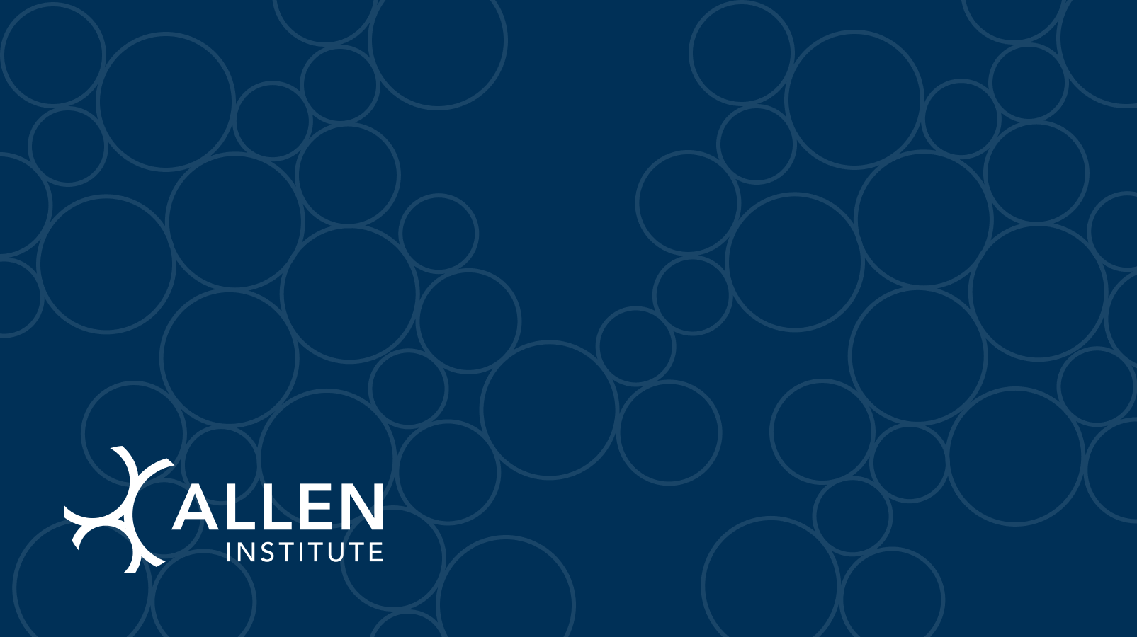 Allen Institute Placeholder Image