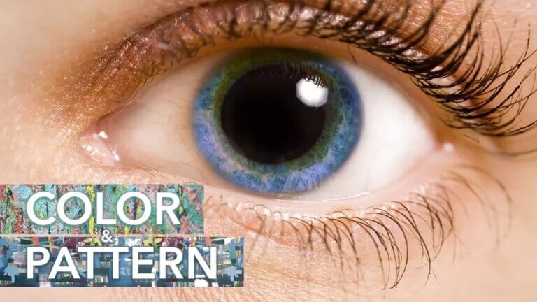 Image of eye with text reading "Color & Pattern"