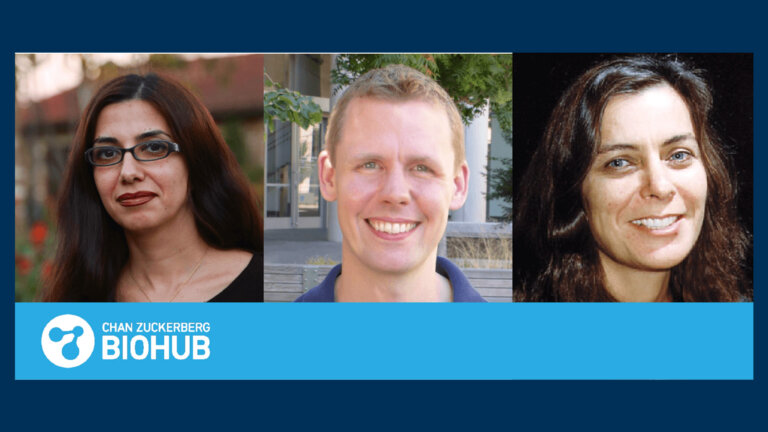 ADI grant awardees zuckerberg grant