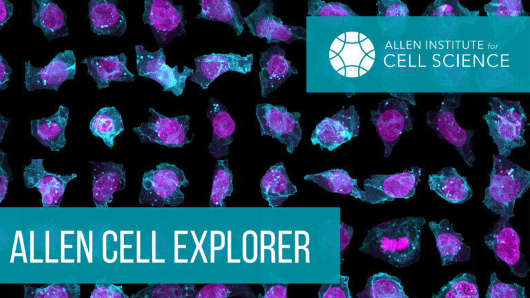 Allen Cell Explorer Featured Image