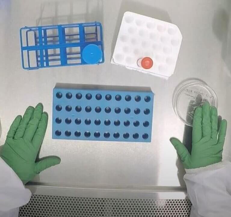 Image of hands doing experiment
