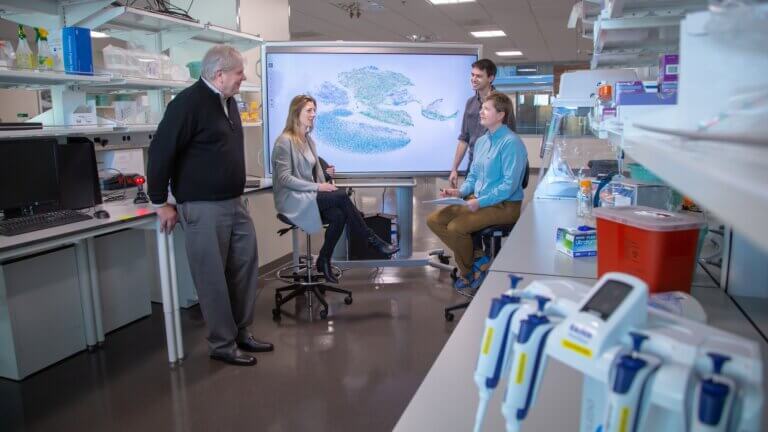 Immunology Researchers