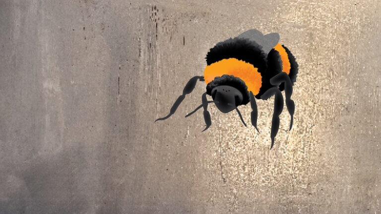 Bee illustration with a textured background