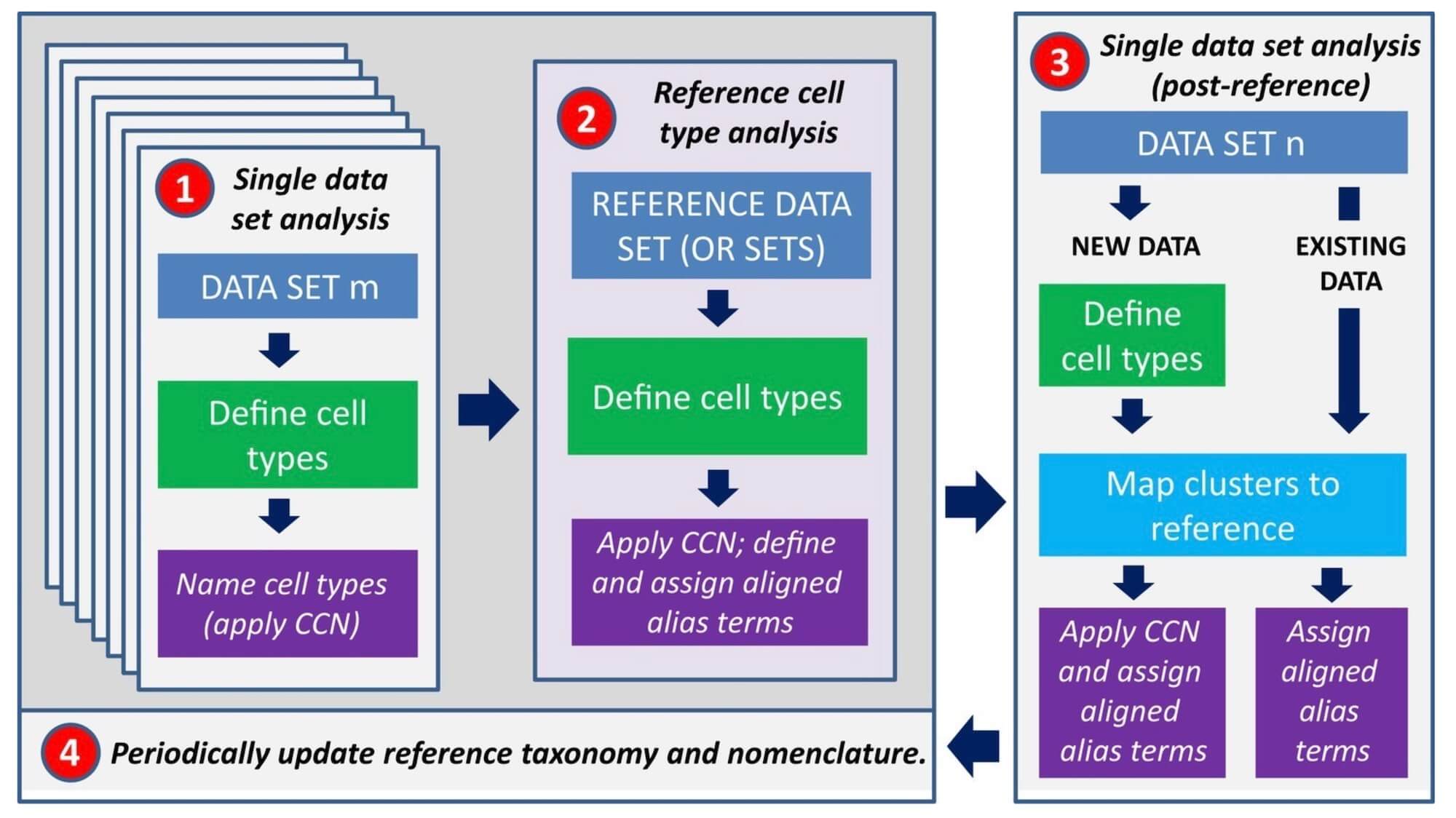 Diagram showing cell type nomenclature decision tree