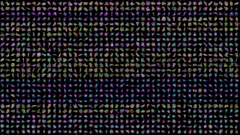 A composite image showing several gene-edited cells with fluorescent tags that light up different internal structures.
