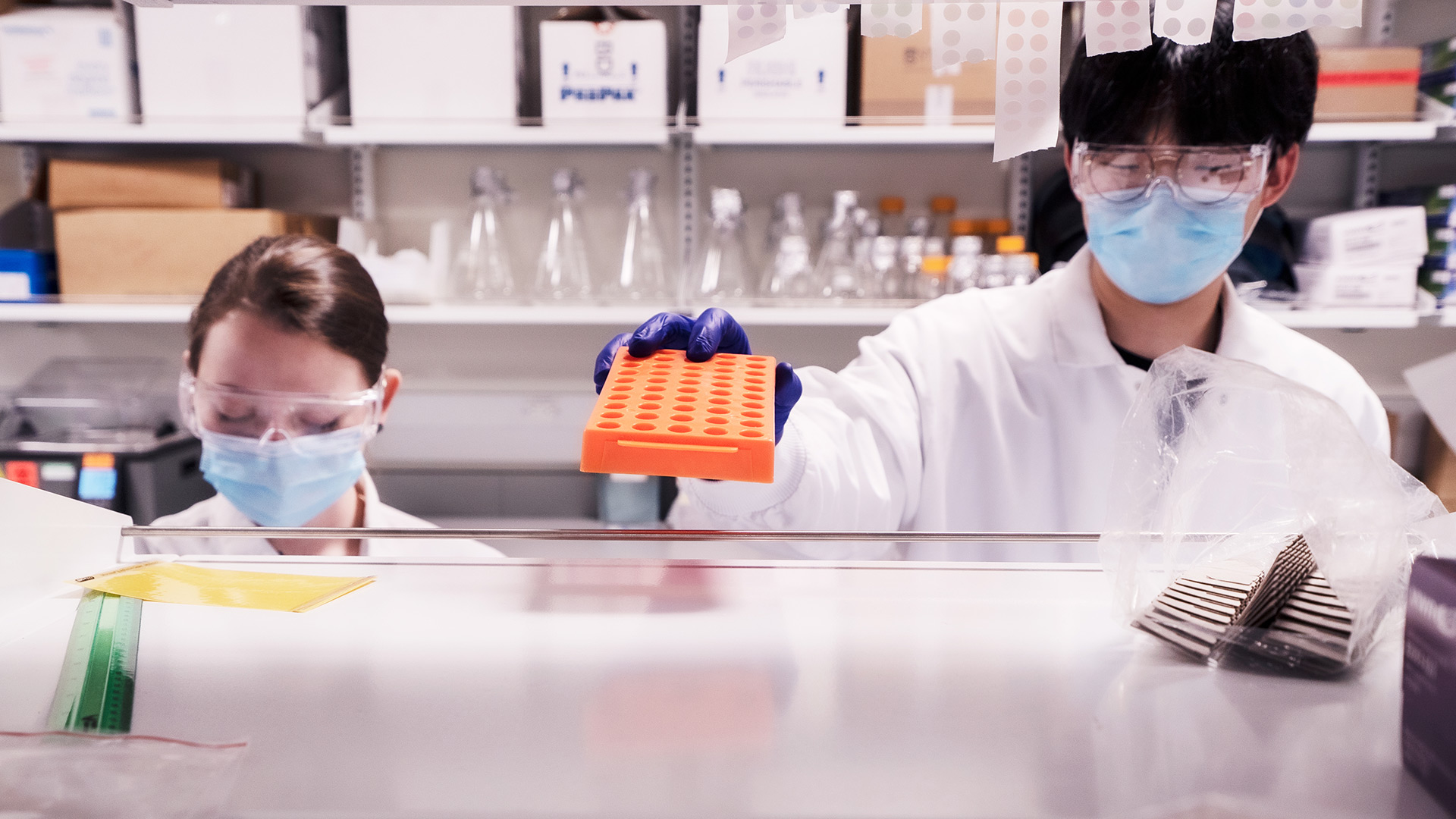 Female and Asian male researchers working in the Immunology laboratory