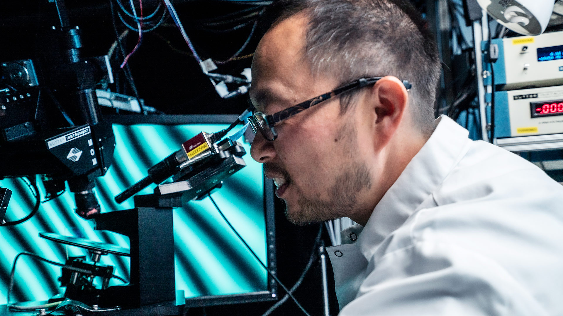 A researcher working in the lab at the Allen Institute HQ.