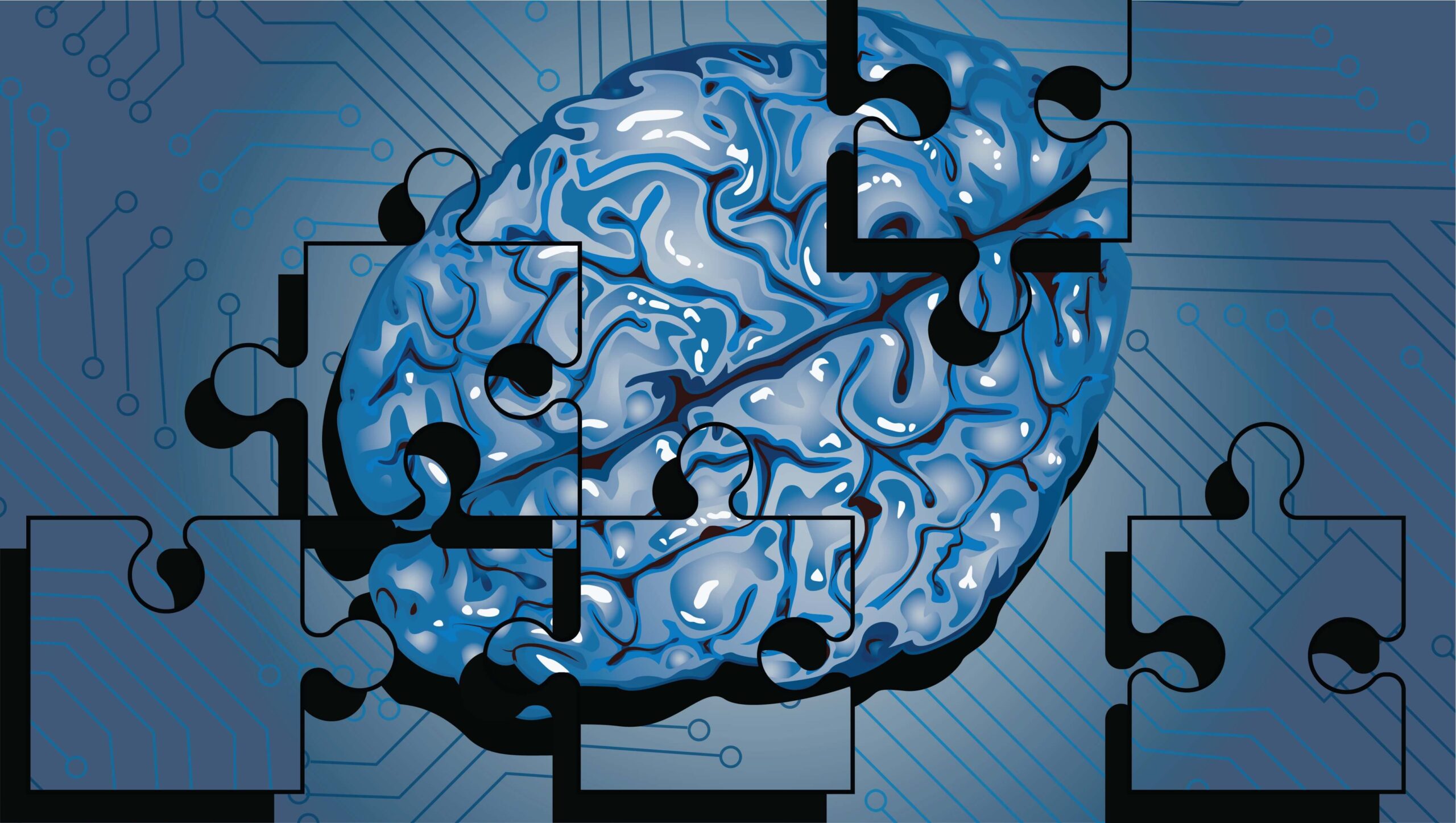 Why is the human brain so difficult to understand? We asked 4  neuroscientists. - Allen Institute