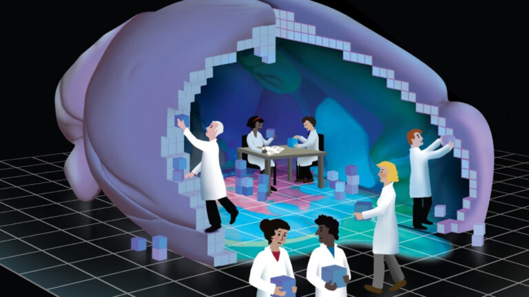 Researchers at the Allen Institute built a detailed map of the mouse brain from tiny virtual 3D blocks, or voxels. Illustration by Benedicte Rossi