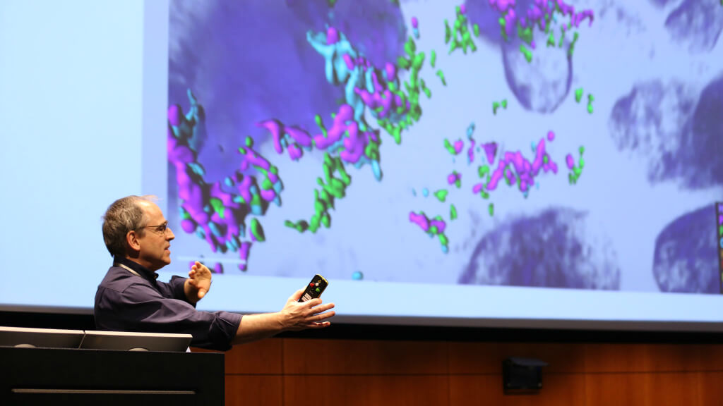 Peter Sorger, Ph.D., a Professor of Systems Pharmacology at Harvard Medical School, speaks at the recent Exploring Frontiers: Predicting Biology symposium at the Allen Institute.