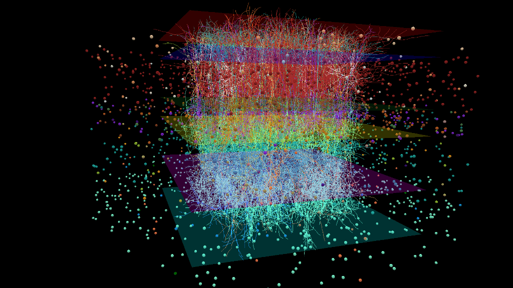 A visualization of a large-scale model of a mouse visual cortex brain circuit, built at the Allen Institute and containing 230,000 neuron building-block models, recently published in the journal Neuron. Image courtesy of Sergey Gratiy, Ph.D.