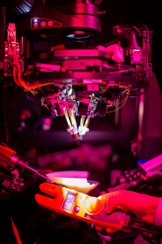 A microscope outfitted with several Neuropixels probes in an Allen Institute laboratory.