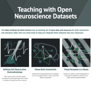 This screenshot from Ashley Juavinett's website show three different lesson plans she developed for interacting with Allen Institute datasets.