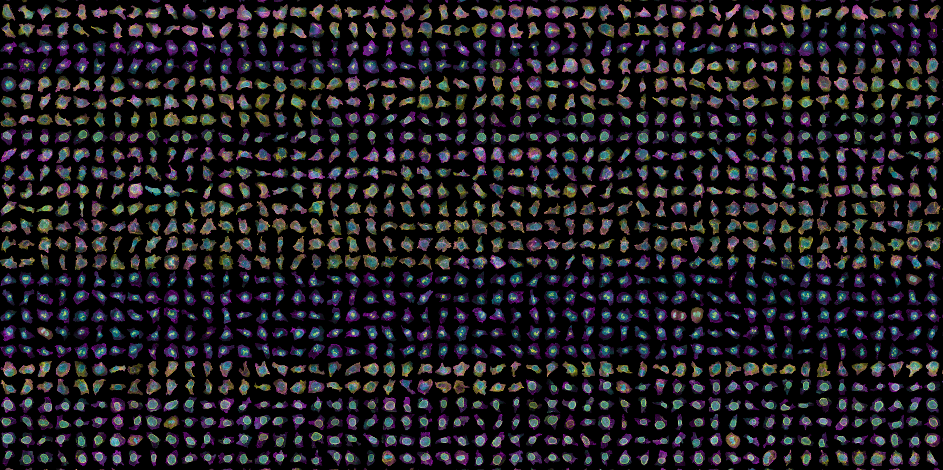 Hundreds of spinning cells against a black background