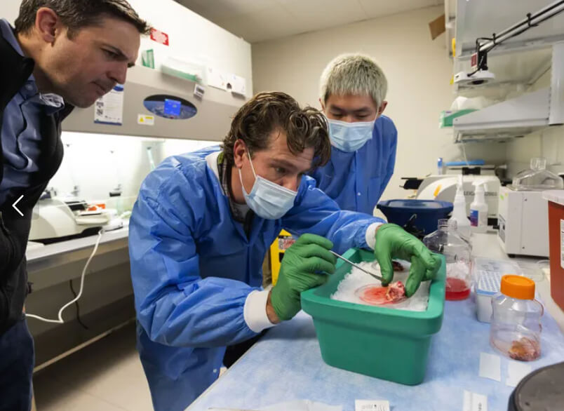 From left: Brian Kalmbach, senior scientist; Nick Dee, senior manager for tissue processing; and Windy Ho, research assistant, prepare a piece of brain