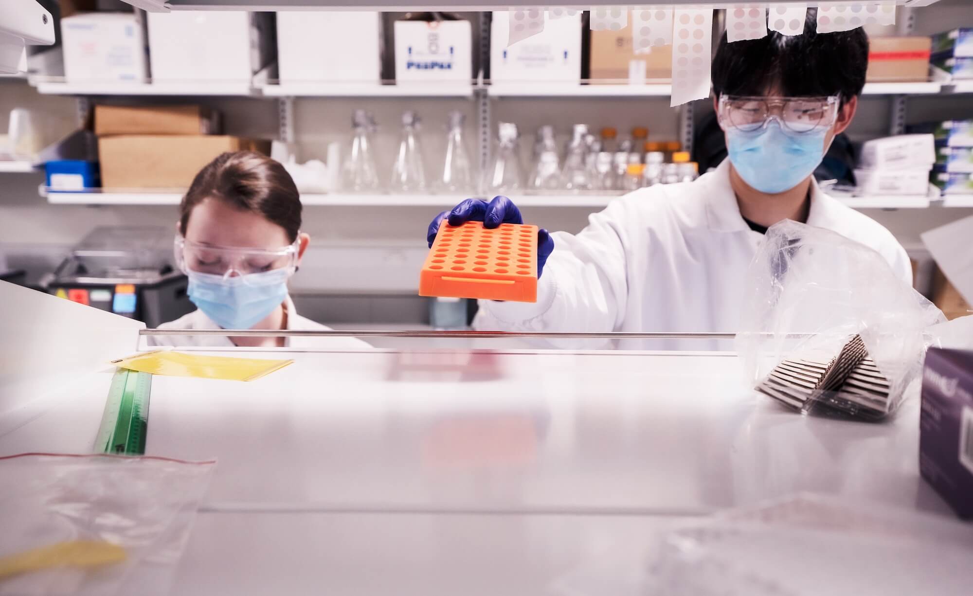 Researchers at the Allen Institute for Immunology working in the lab