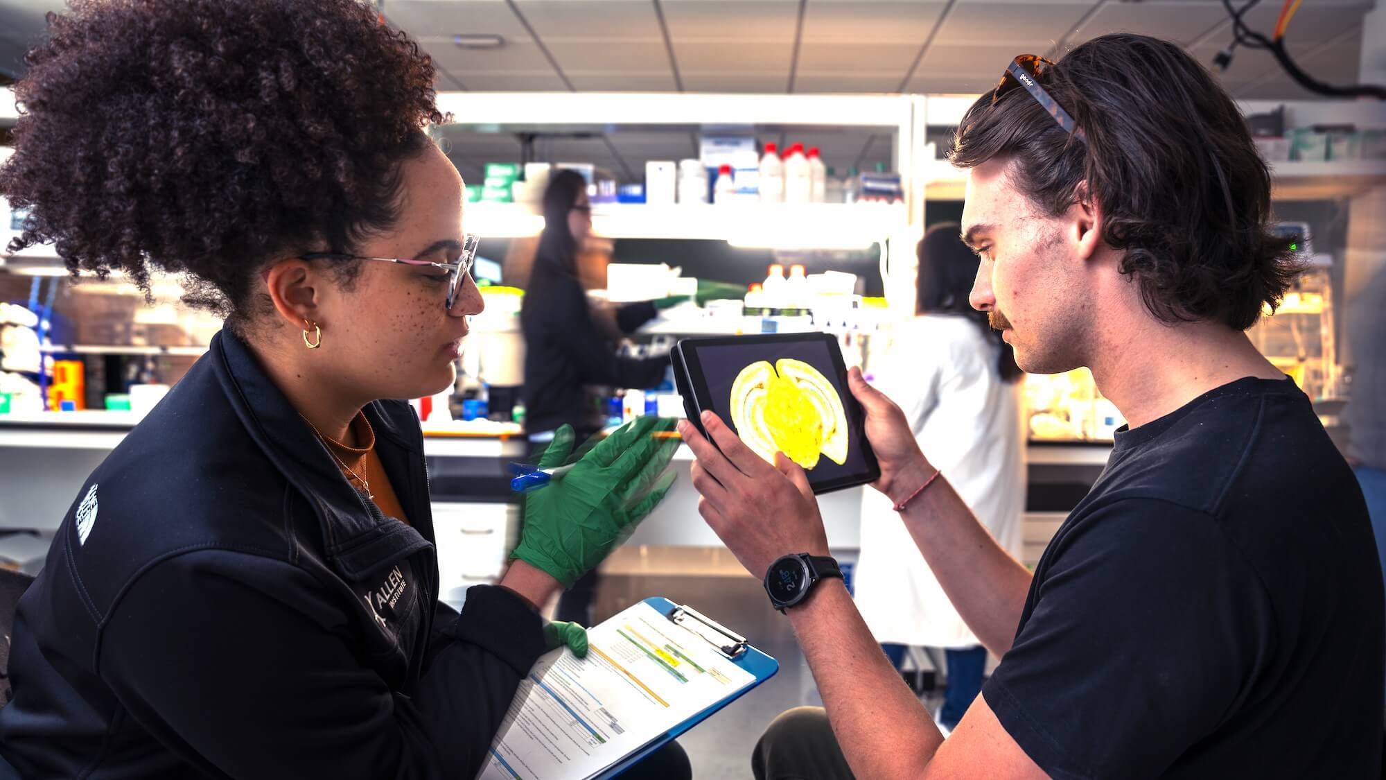 Two researchers examining a MERFISH imaging slide