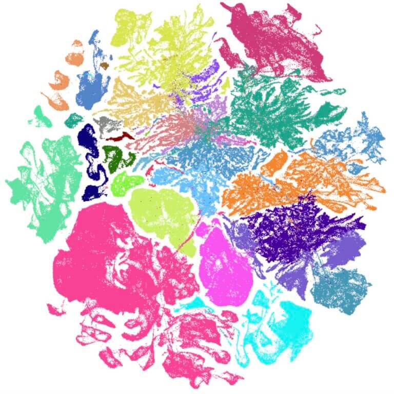 UMAP showing 10x single cell RNAseq whole brain data from 4.06M cells