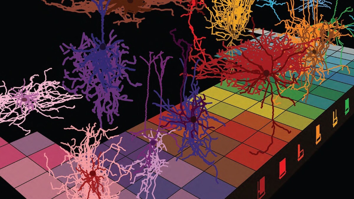 Artistic representation of neurons categorized on a periodic table