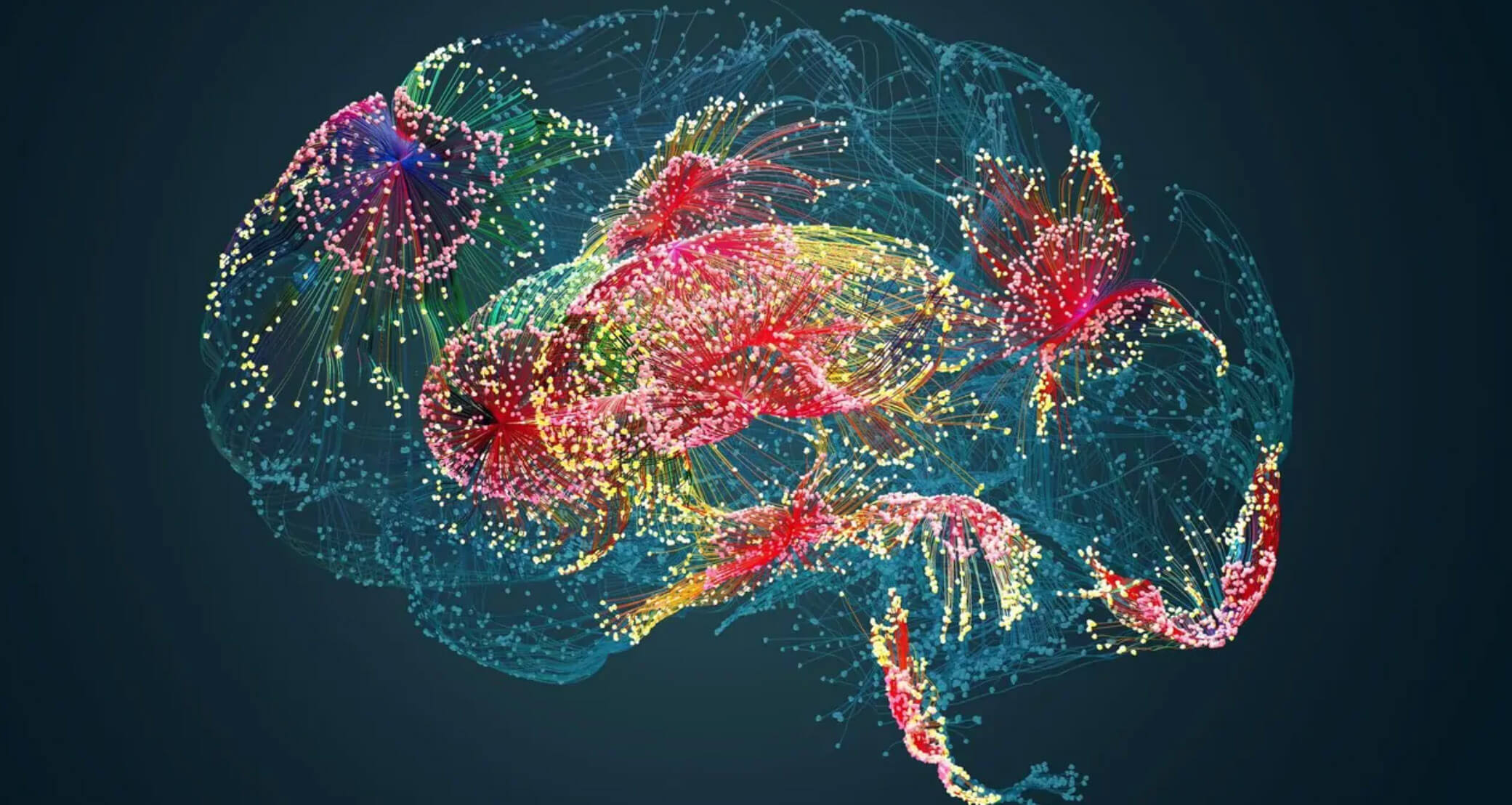 Colorful brain image reconstruction