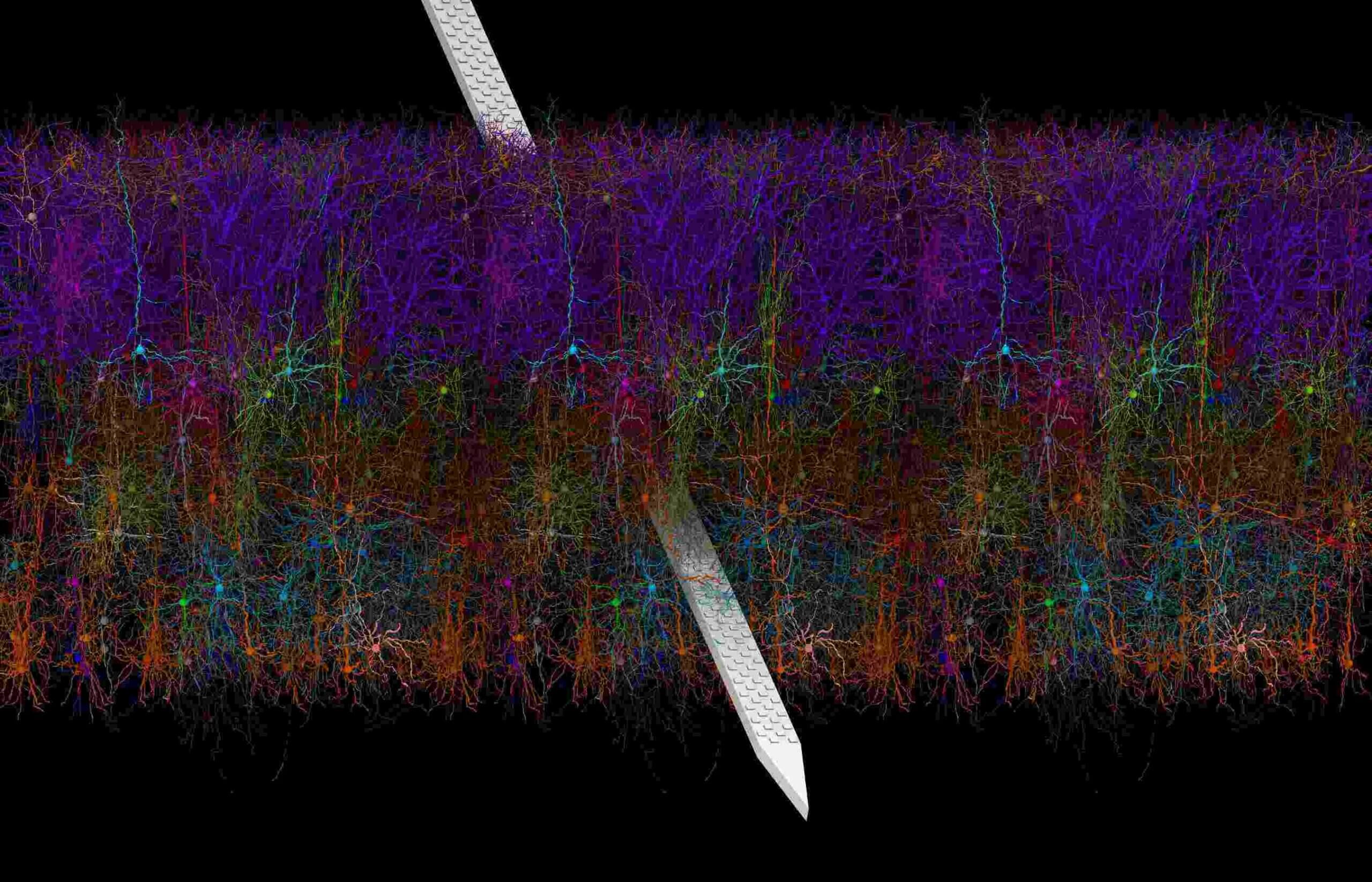 Layers of modeled neurons of different colors with an electrode through the middle of the layers