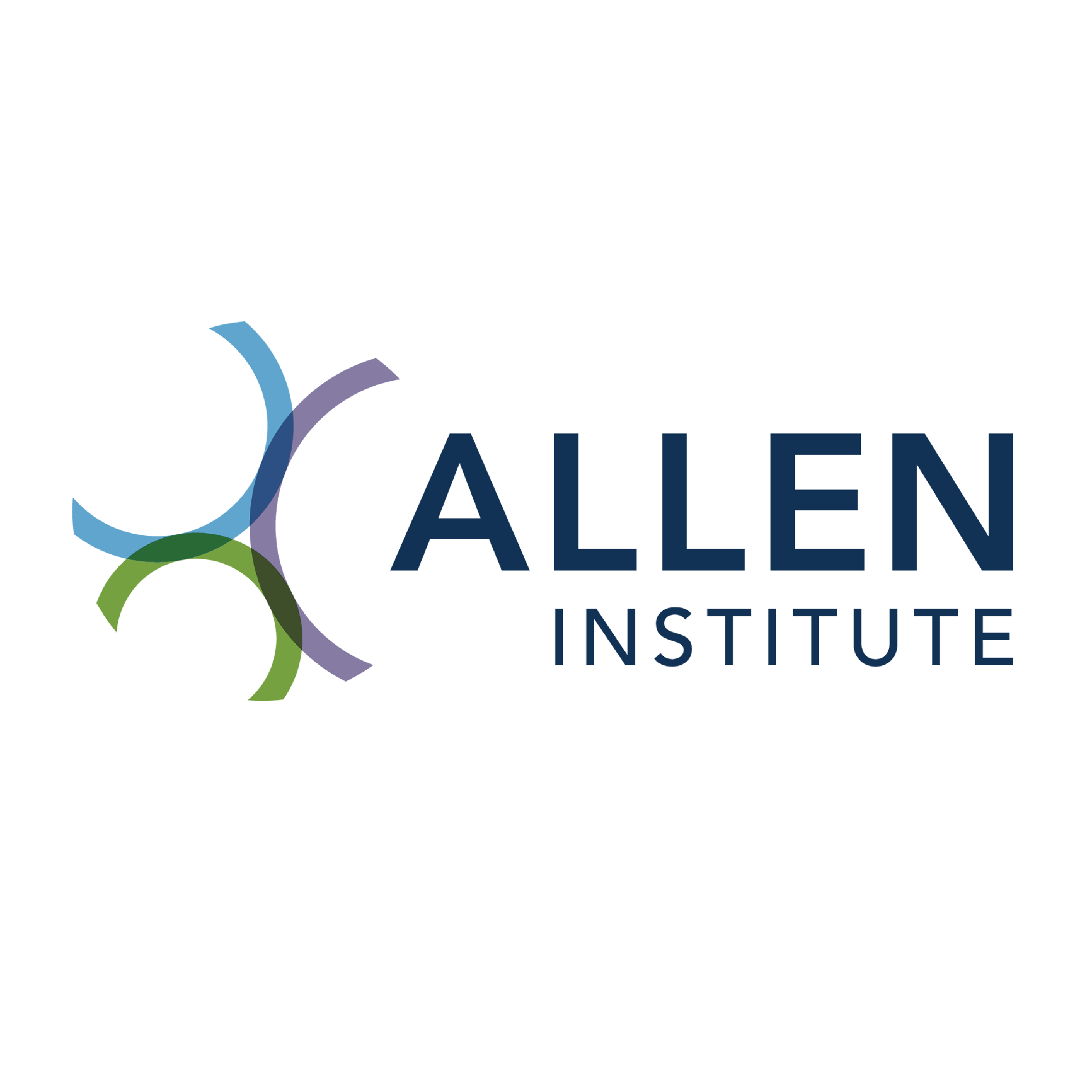 Allen Institute Logo Square