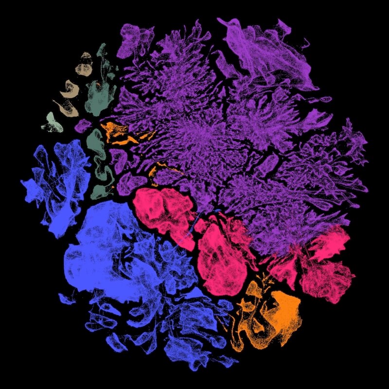 ABC Atlas of whole mouse brain data