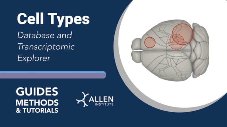 Cell Types Tutorial Hero Image