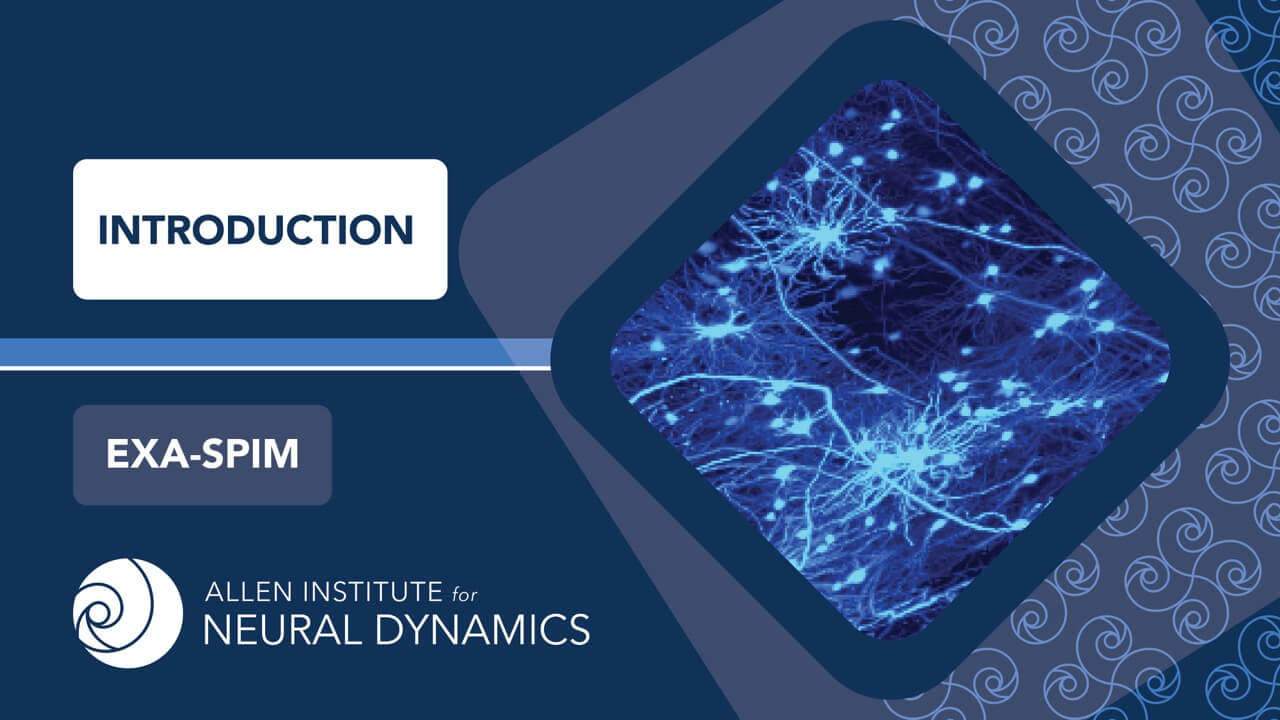 Exa Spim Scientific Overview Allen Institute