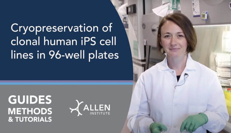 Cryopreservation of clonal human iPS cell lines in 96-well plates