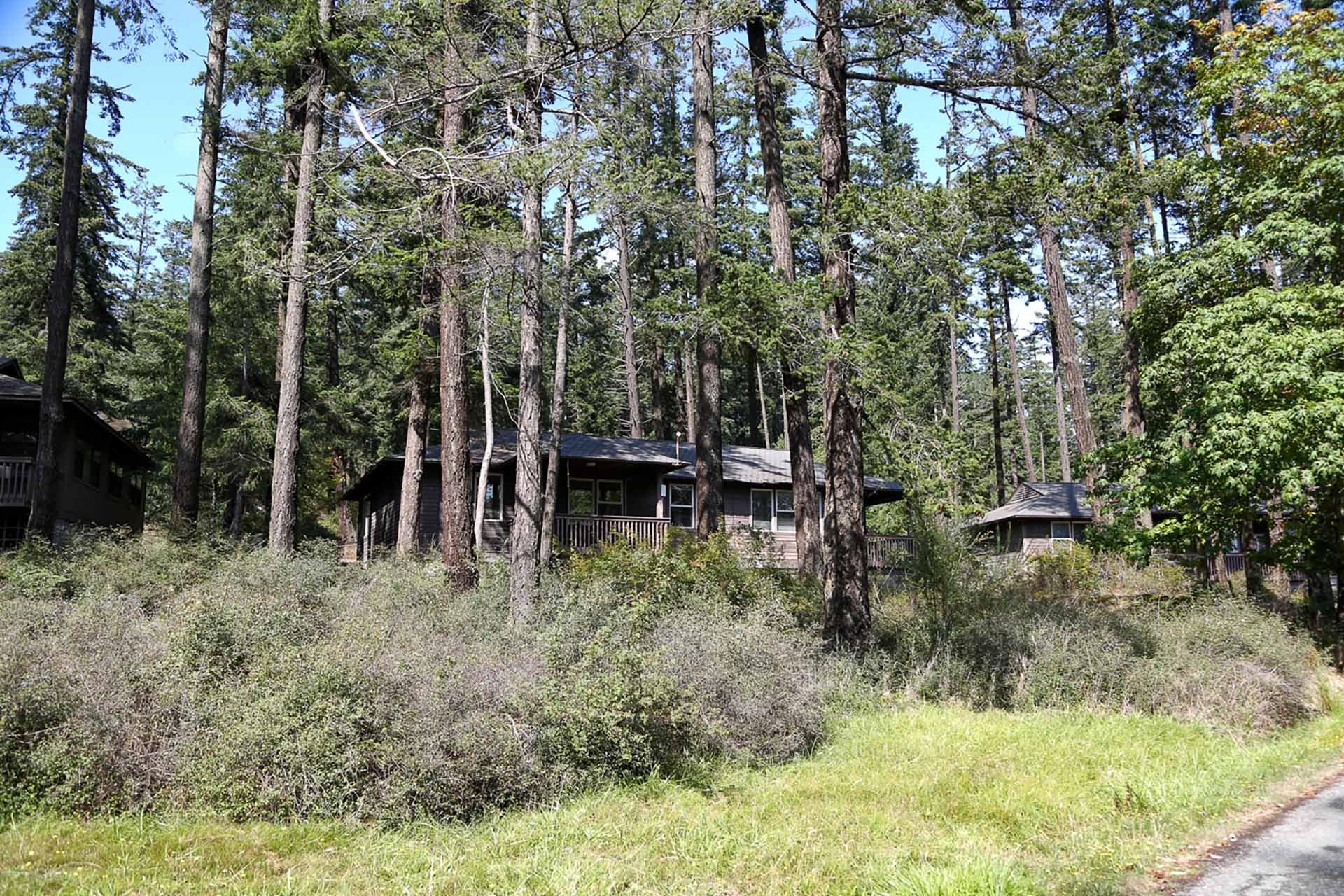 Cabin in the woods on Friday Harbor Laboratory campus