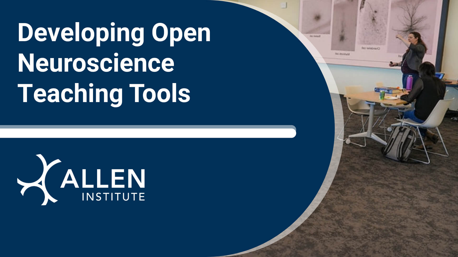 Developing Open Neuroscience Teaching Tools