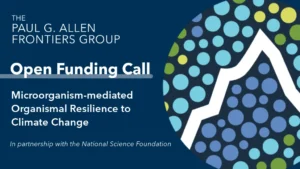 Open Funding Call graphic