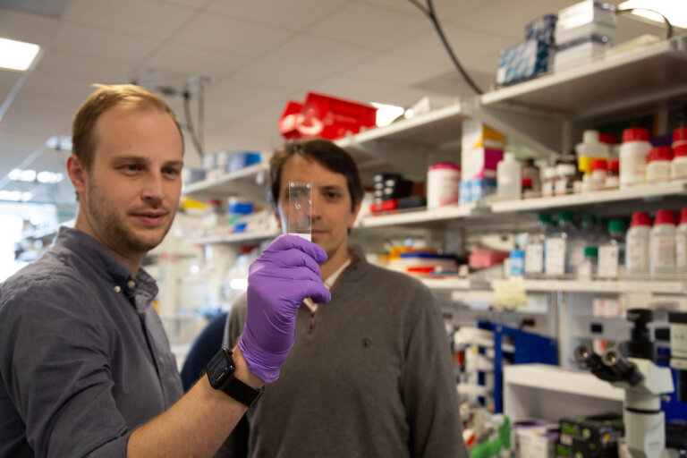 Kyle Travaglini and Mariano Gabitto, two male scientists, take a look at brain tissue samples on a clear slide in a lab at the Allen Institute.