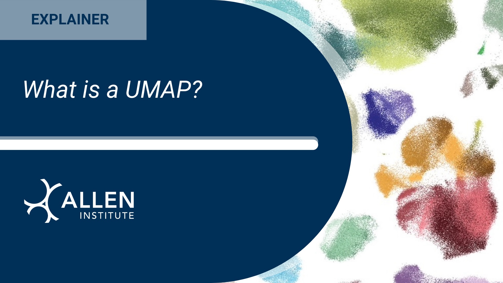 What Is A UMAP? Allen Institute 