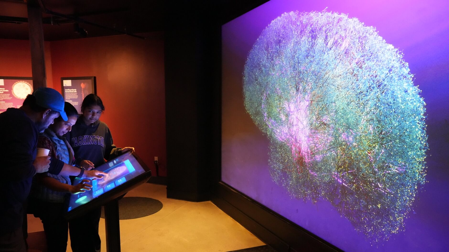 Visitors engage with an interactive exhibit at BrainFest 2024