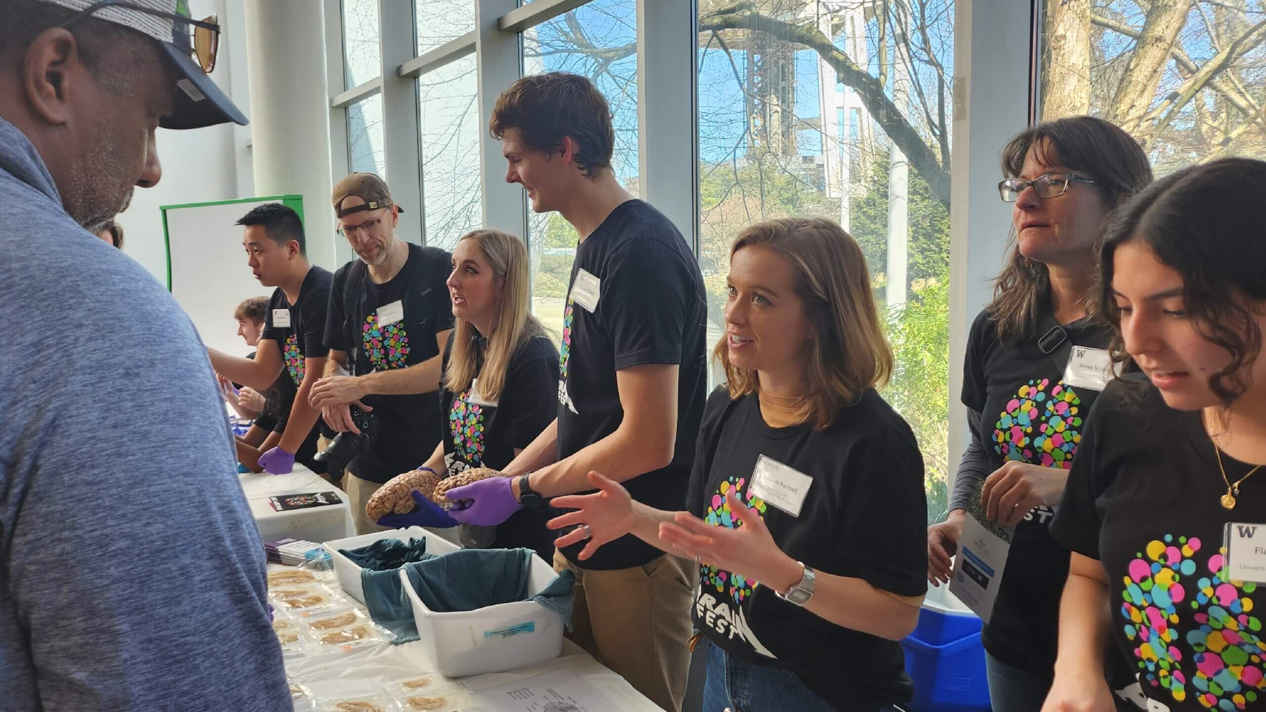 BrainFest 2024 volunteers show brain samples to visitors