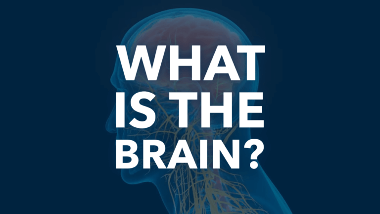 What is the brain hero image