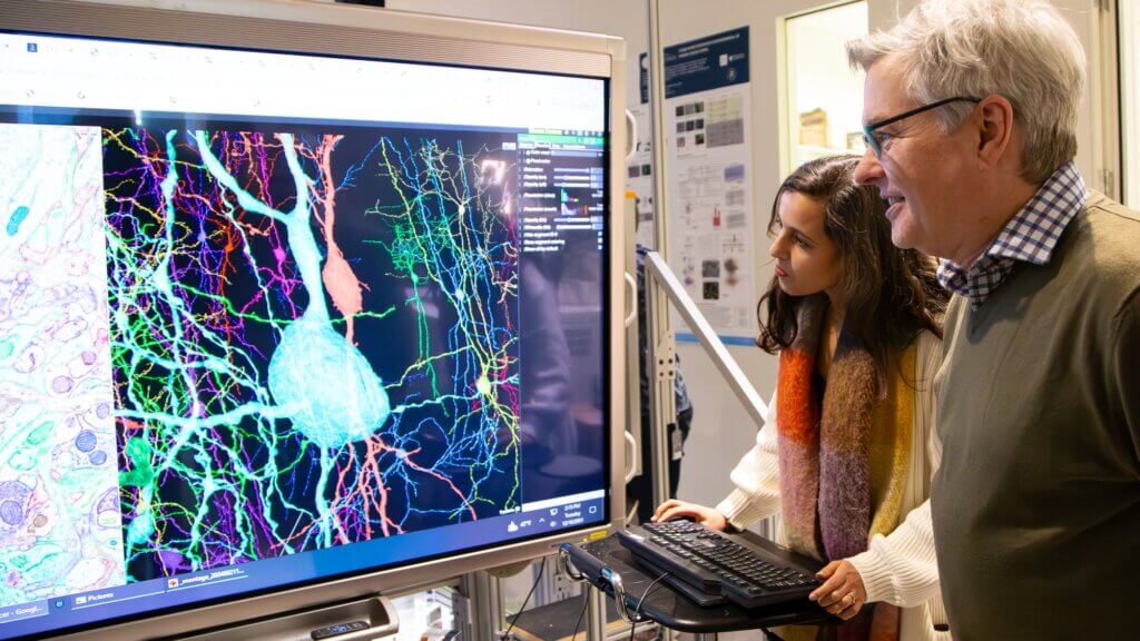 Scientists at Allen Institute examining neuronal reconstruction data