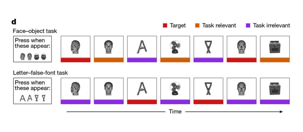 2 rows of 8 boxes that contain different images and letter characters and icons with colored bottom borders