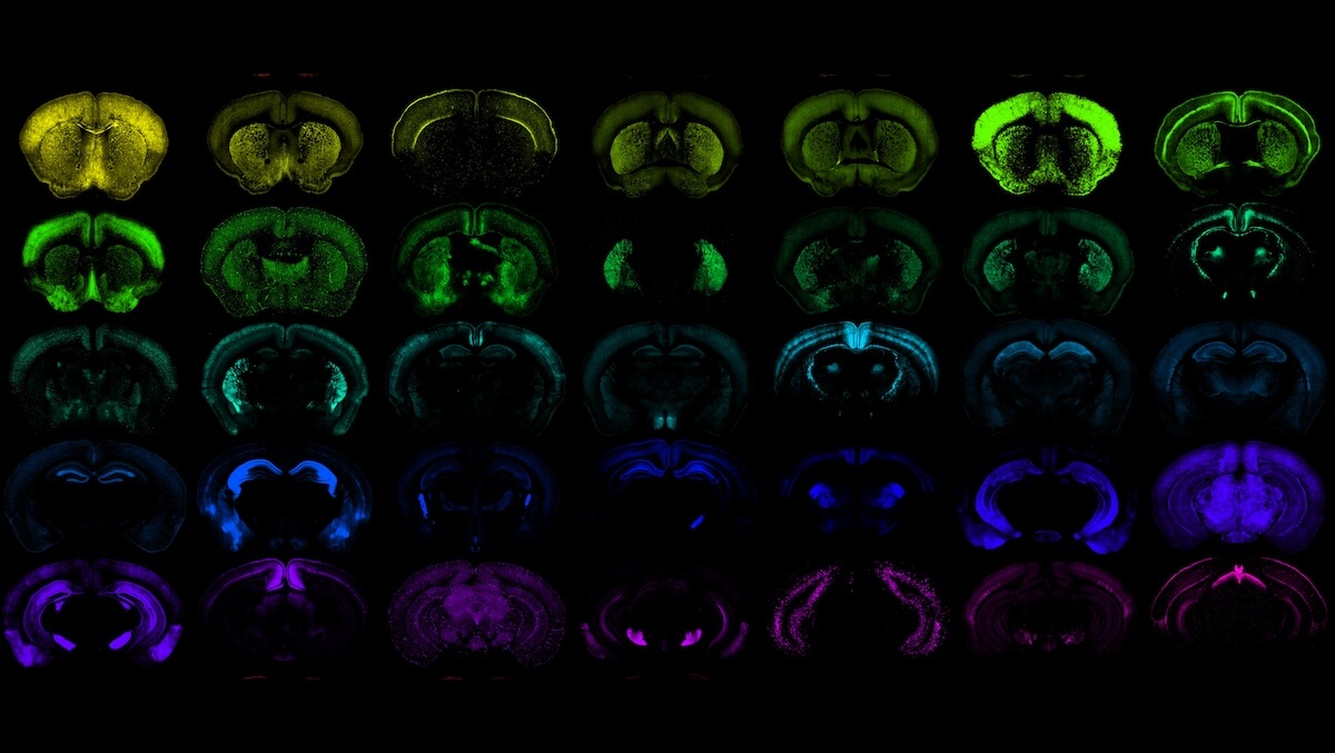 Armamentarium montage hero image