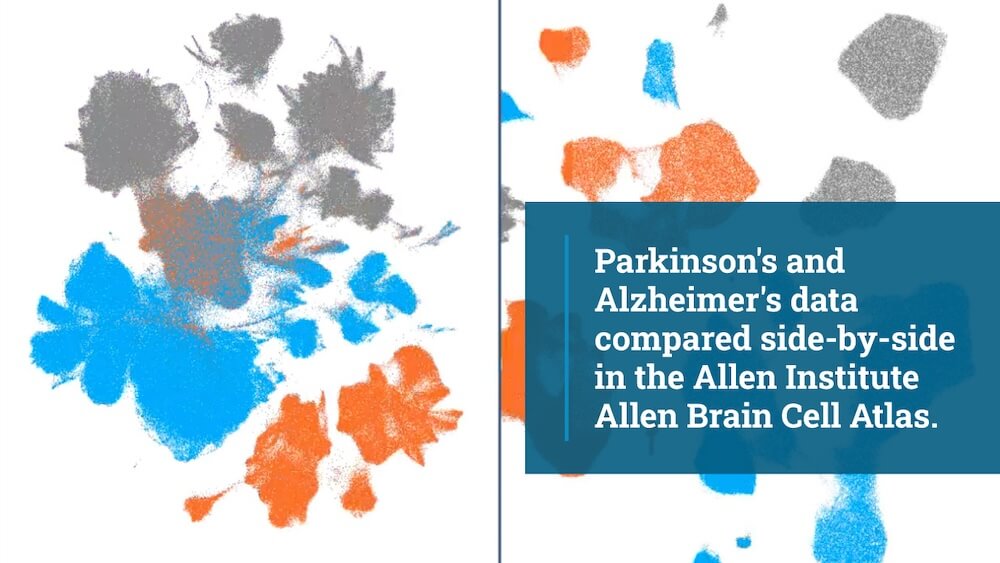 Parkinson's and Alzheimer's data compared side by side in the Allen Institute Allen Brain Cell Atlas