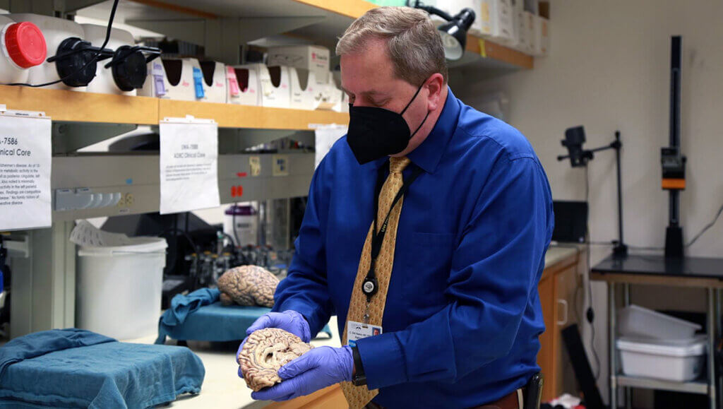 scientist holding one hemisphere of a human brain in lab.