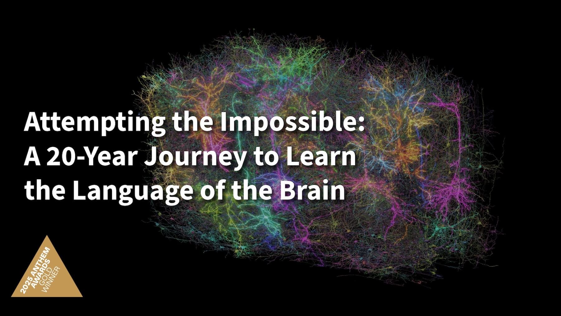 Anthem Award Feature Image