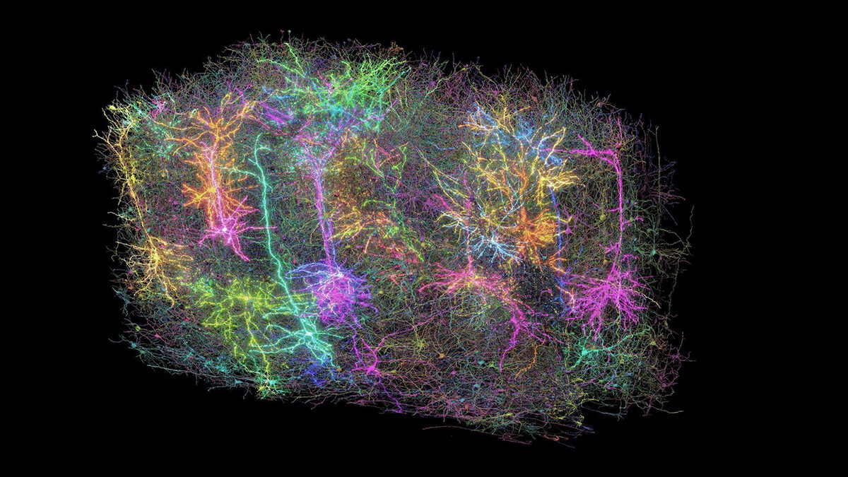 Electron microscopy reconstructions