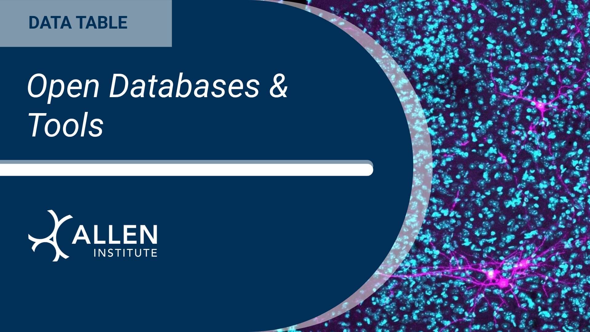 Decorative tile card with title "Open Databases & Tools"