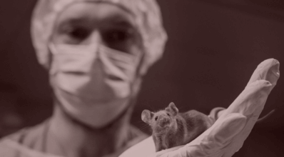 Last month, the Allen Institute team successfully created a digital simulation of a mouse brain cortex, which the institute heralded as “one of the largest and most detailed simulations” of an animal brain ever. Photo: Abrice Coffrini/AFP/Getty Images)