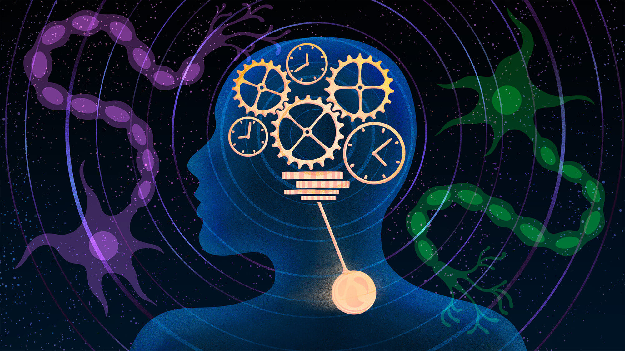 One of world’s most detailed virtual brain simulations is changing how ...